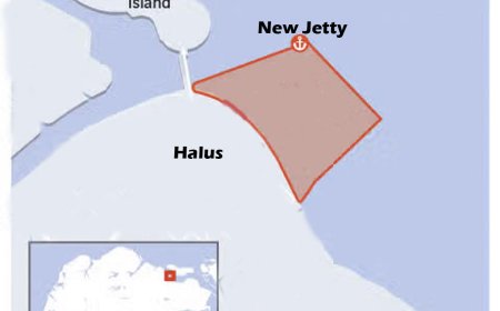 JTC to Reclaim 49 Hectares Off Lorong Halus to Support Future Industrial Development