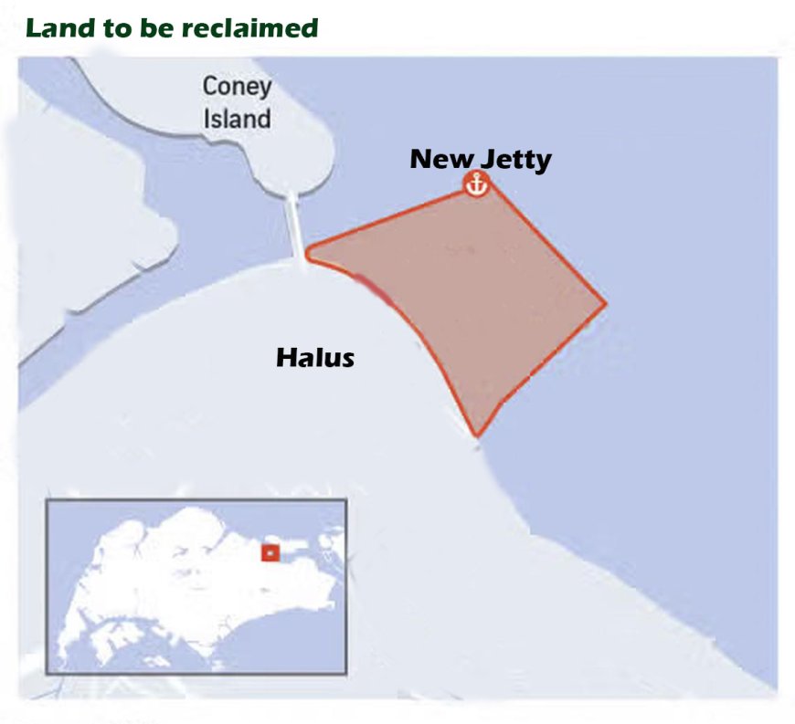 JTC to Reclaim 49 Hectares Off Lorong Halus to Support Future Industrial Development