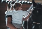 A Guide to Setting Up a Trust in Singapore