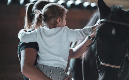 A Guide to Setting Up a Trust in Singapore