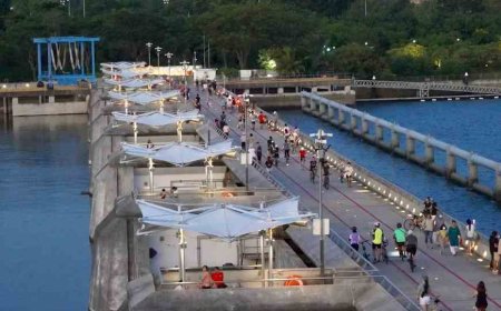 Coastal Barriers in Singapore: Safeguarding Shores from Extreme Sea Levels